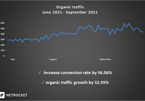 Search Engine Optimization Package Example: SEO-promotion of an online store