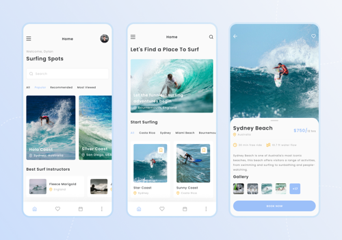 Mobile App Development Package Example: Surfing Reservation Mobile App