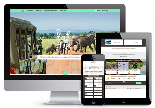 Web Design Package Example: Private Safari in Africa