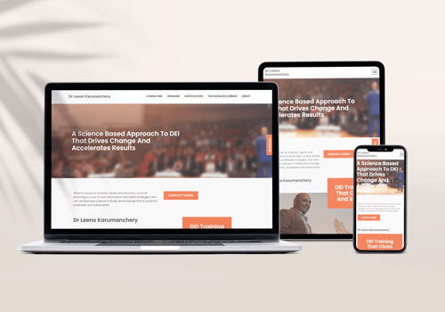 Web Development Package Example: Diversity Solutions
