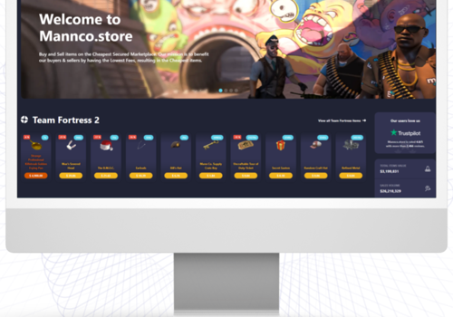 Search Engine Optimization Package Example: SEO for Mannco.store