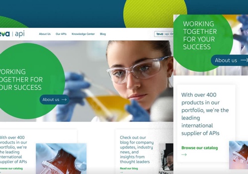 Pay Per Click Package Example: Teva - API