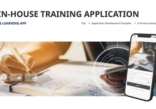 Custom Software Development Package Example: In-house training application