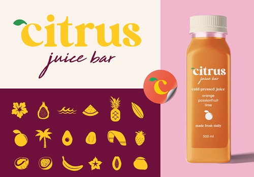 Logo Package Example: Citrus Juice Bar Brand Development