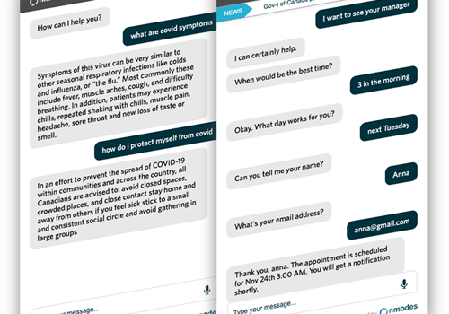 Web Development Package Example: Chat bot AI system