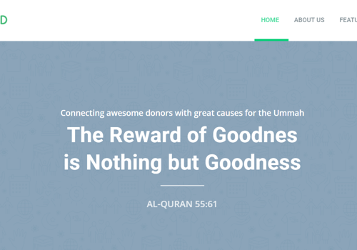 Web Development Package Example: Deen Fund