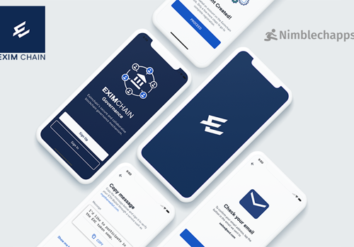 Web Development Package Example: EximChain
