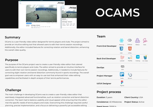 Web Design Package Example: Ocams
