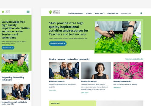 Web Design Package Example: Improving design and navigation