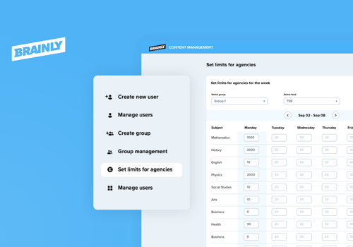 Custom Software Development Package Example: Brainly - Platform connecting students and experts