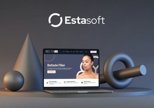 Web Development Package Example: Website Design & Development for Beltade Global