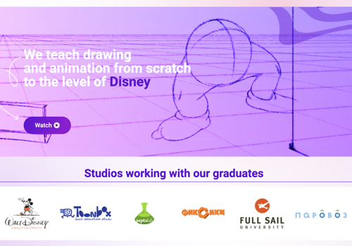 Advertising Package Example: Website for online institute