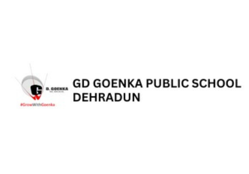 Branding Package Example: GD Goenka Public School Website Development & SEO