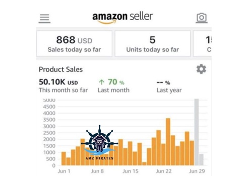 Ecommerce Marketing Package Example: Amazon.com: 50.10K Sales in 30 Days
