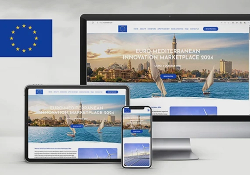 Web Design Package Example: Euro-Med