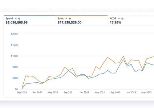 Marketing Strategy Package Example: Amazon PPC for Garage Organizers company