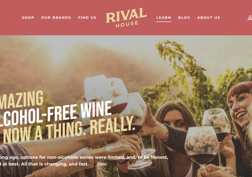 Branding Package Example: Rival House – Zero Alcohol Brand