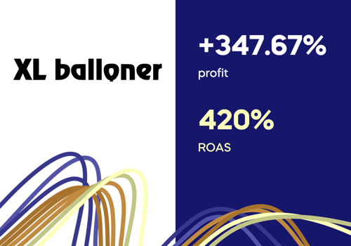 Pay Per Click Package Example: How to increase business profit by 347% in 7 month