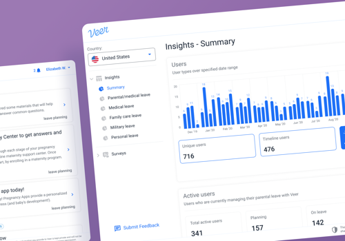 IT Staff Augmentation Package Example: Veer - Development Staff Augmentation for SaaS