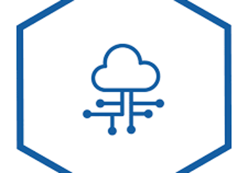 IT Strategy Consulting Package Example: Active Cyber-Incidents