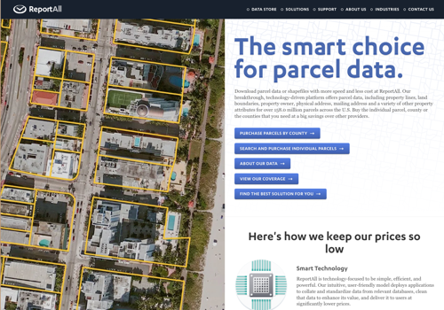 Web Design Package Example: ReportAll, a big data disruptor