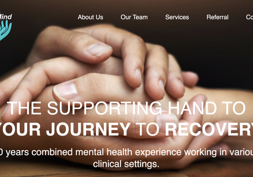 Web Development Package Example: Care4Mind WordPress Design