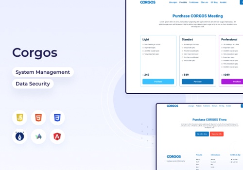 Web Development Package Example: Data Security System