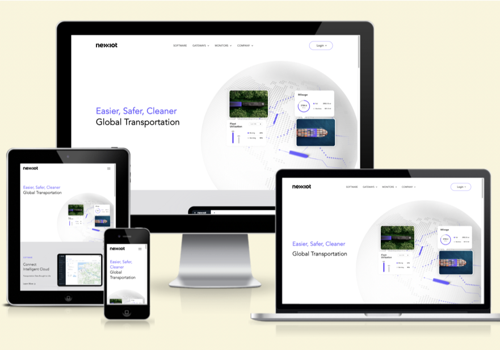 Web Design Package Example: Nexxiot website development
