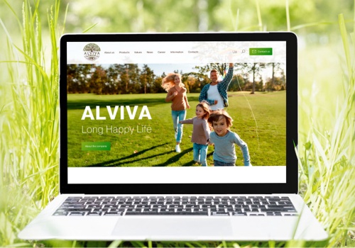 Web Development Package Example: Business website for Alviva