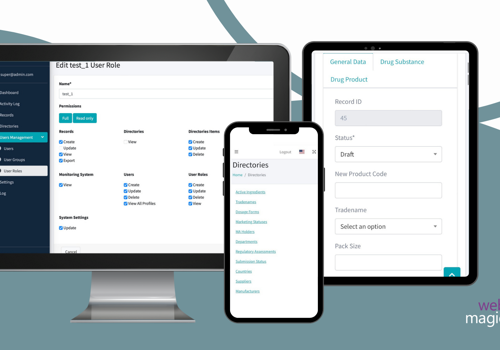 Custom Software Development Package Example: Pharmaceutical Records Tool