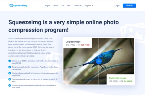 Web Design Package Example: Squeezimg