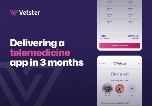 Mobile App Development Package Example: Vetster
