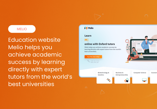 Web Design Package Example: Melio