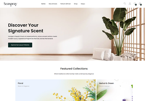 Web Design Package Example: Seaspray Nepal Website Design and Development