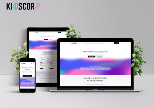 Web Development Package Example: Kite - Digital Advertising Platform