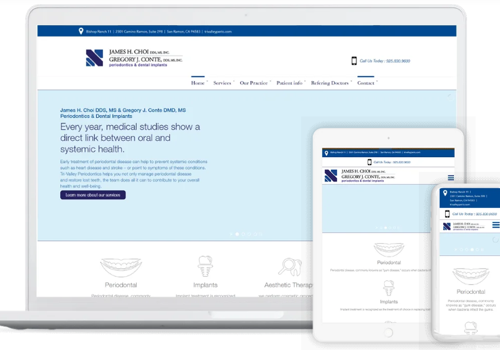 Web Development Package Example: Trivalleyperio
