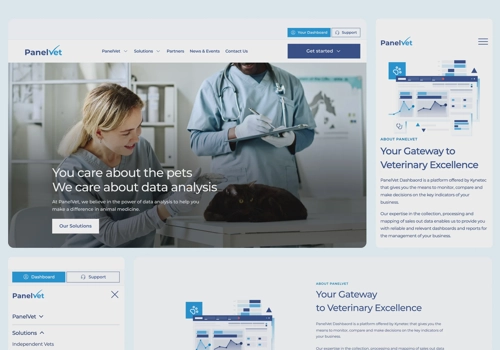 Web Design Package Example: PanelVet – Responsive Website for Vet Experts