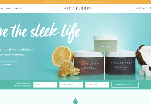 Web Design Package Example: Vidasleek