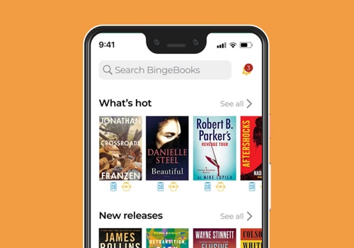 Mobile App Development Package Example: Bingebooks — a catalog of books