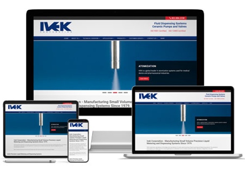 Pay Per Click Package Example: Ivek Corporation