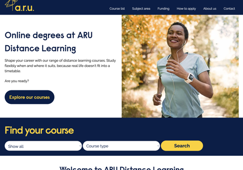 Digital Strategy Package Example: Strategy , SEO , PPC, Consultancy, Web Design / UX