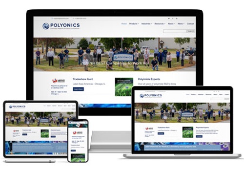 Web Design Package Example: Polyonics