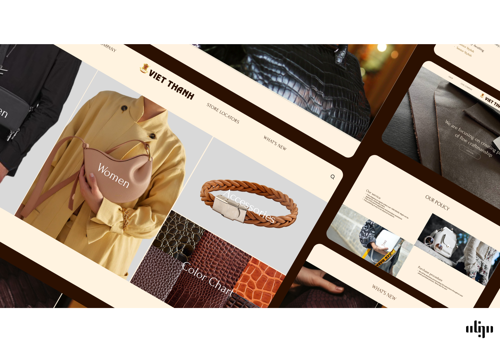 Web Design Package Example: Vietthanh Web Design  & Development