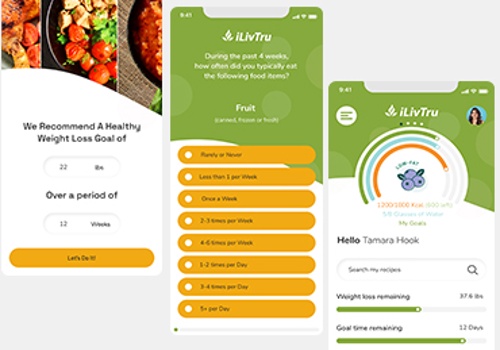 Web Development Package Example: Diet cypher