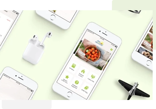 Mobile App Development Package Example: One Harvest