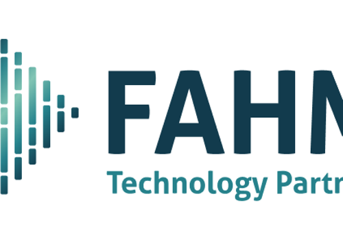 Web Design Package Example: Fahm Technology Partners