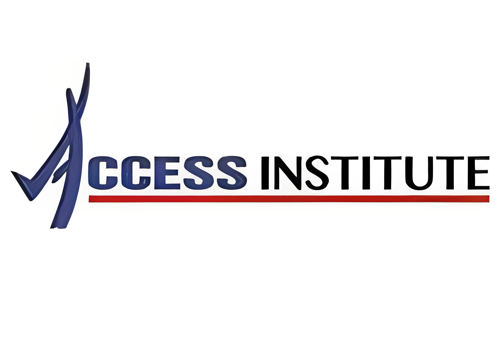 Search Engine Optimization Package Example: SEO Campaign For Access Institute