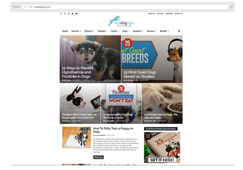 E-Commerce Development Package Example: Top Dog Tips