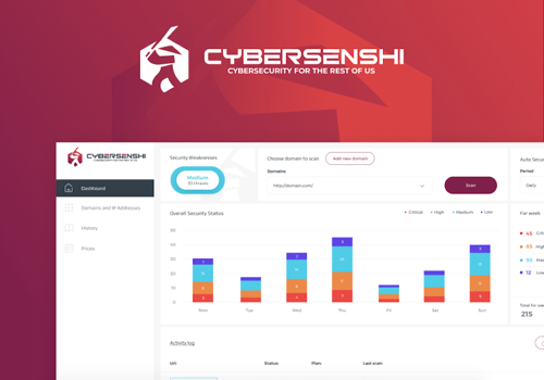Web Development Package Example: Is your web app protected from the data-thiefs?