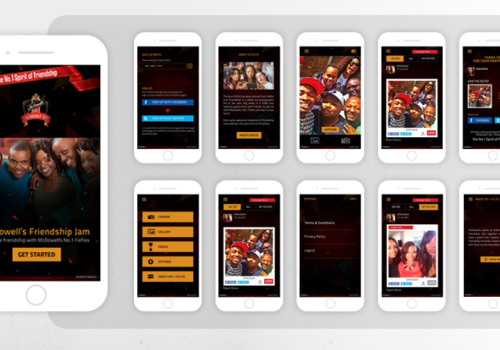 Custom Software Development Package Example: No. 1 Felfie Mobile App